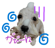 818360157