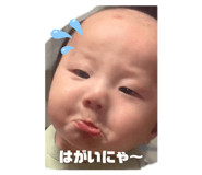 818360652