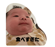 818360656