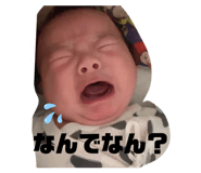 818360662