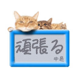 818384387