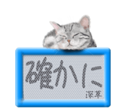 818384722