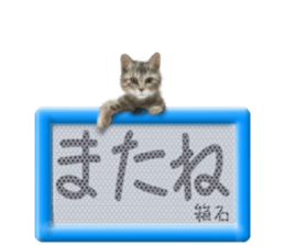 818385009