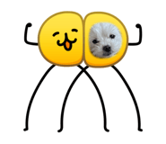 818388578