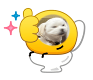 818388583