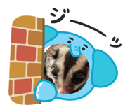 818389210