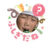 818397428