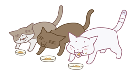 ANIME KURUNEKO รูปที่ 34