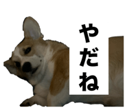 818400146
