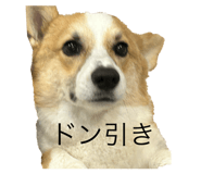 818400157