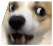 818400163