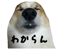 818400168