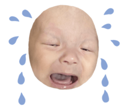 818408535