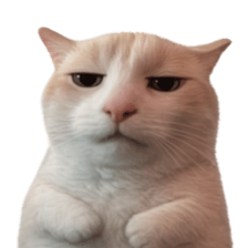 Silly Goofy Dip Catto V.5 รูปที่ 2