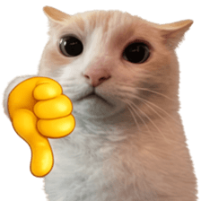 Silly Goofy Dip Catto V.5 รูปที่ 3