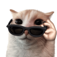 Silly Goofy Dip Catto V.5 รูปที่ 4