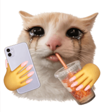 Silly Goofy Dip Catto V.5 รูปที่ 5
