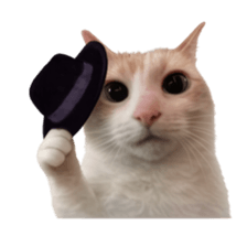 Silly Goofy Dip Catto V.5 รูปที่ 6