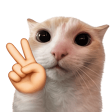 Silly Goofy Dip Catto V.5 รูปที่ 7