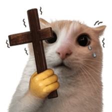 Silly Goofy Dip Catto V.5 รูปที่ 8