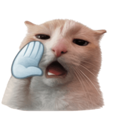 Silly Goofy Dip Catto V.5 รูปที่ 9