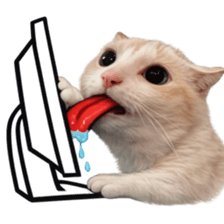 Silly Goofy Dip Catto V.5 รูปที่ 10