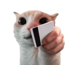 Silly Goofy Dip Catto V.5 รูปที่ 12