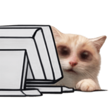 Silly Goofy Dip Catto V.5 รูปที่ 13