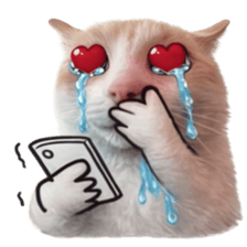 Silly Goofy Dip Catto V.5 รูปที่ 14