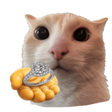 Silly Goofy Dip Catto V.5 รูปที่ 17