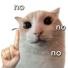 Silly Goofy Dip Catto V.5 รูปที่ 18
