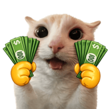 Silly Goofy Dip Catto V.5 รูปที่ 19
