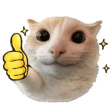 Silly Goofy Dip Catto V.5 รูปที่ 22