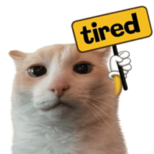 Silly Goofy Dip Catto V.5 รูปที่ 24
