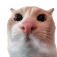 Silly Goofy Dip Catto V.5 รูปที่ 25
