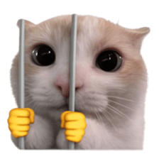Silly Goofy Dip Catto V.5 รูปที่ 26