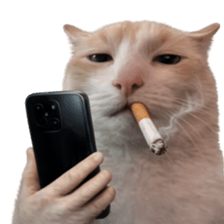 Silly Goofy Dip Catto V.5 รูปที่ 27