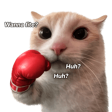 Silly Goofy Dip Catto V.5 รูปที่ 28