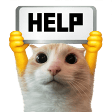 Silly Goofy Dip Catto V.5 รูปที่ 29