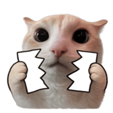 Silly Goofy Dip Catto V.5 รูปที่ 31