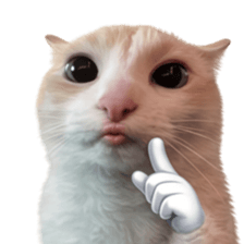 Silly Goofy Dip Catto V.5 รูปที่ 32