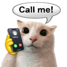 Silly Goofy Dip Catto V.5 รูปที่ 34