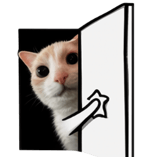Silly Goofy Dip Catto V.5 รูปที่ 35