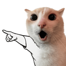 Silly Goofy Dip Catto V.5 รูปที่ 37