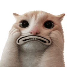 Silly Goofy Dip Catto V.5 รูปที่ 39