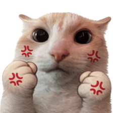Silly Goofy Dip Catto V.5 รูปที่ 40