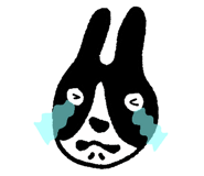 818503600