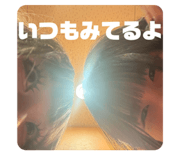 818513643