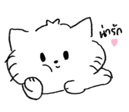 ลายที่ 13