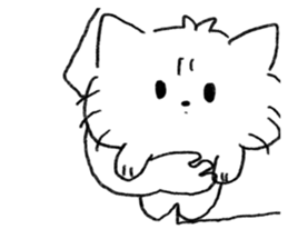 ลายที่ 17